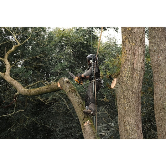 Arborist working at height using the DEWALT 54V XR FLEXVOLT Compact Top Handle Chainsaw 