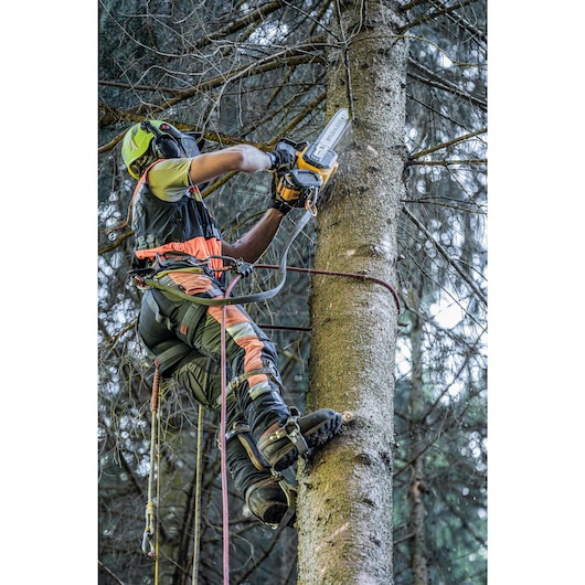 Arborist at height harnessed to tree cutting branches with the Top Handle Chainsaw
