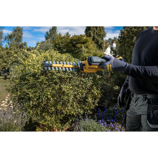 The DEWALT 18V XR Compact Hedge Trimmer  in action